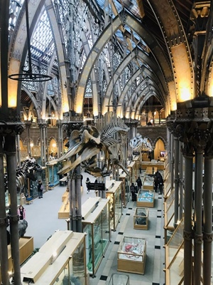STEM Students Visit Oxford Natural History Museum